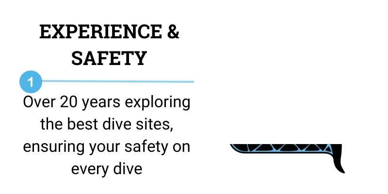 Scuba diving in Playa del Carmen - experience and safety